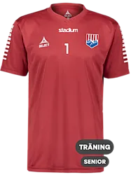 325504105101 SELECT Pisa Ss Jsy 325504105101 SELECT Pisa Ss Jsy Standard Small1x1