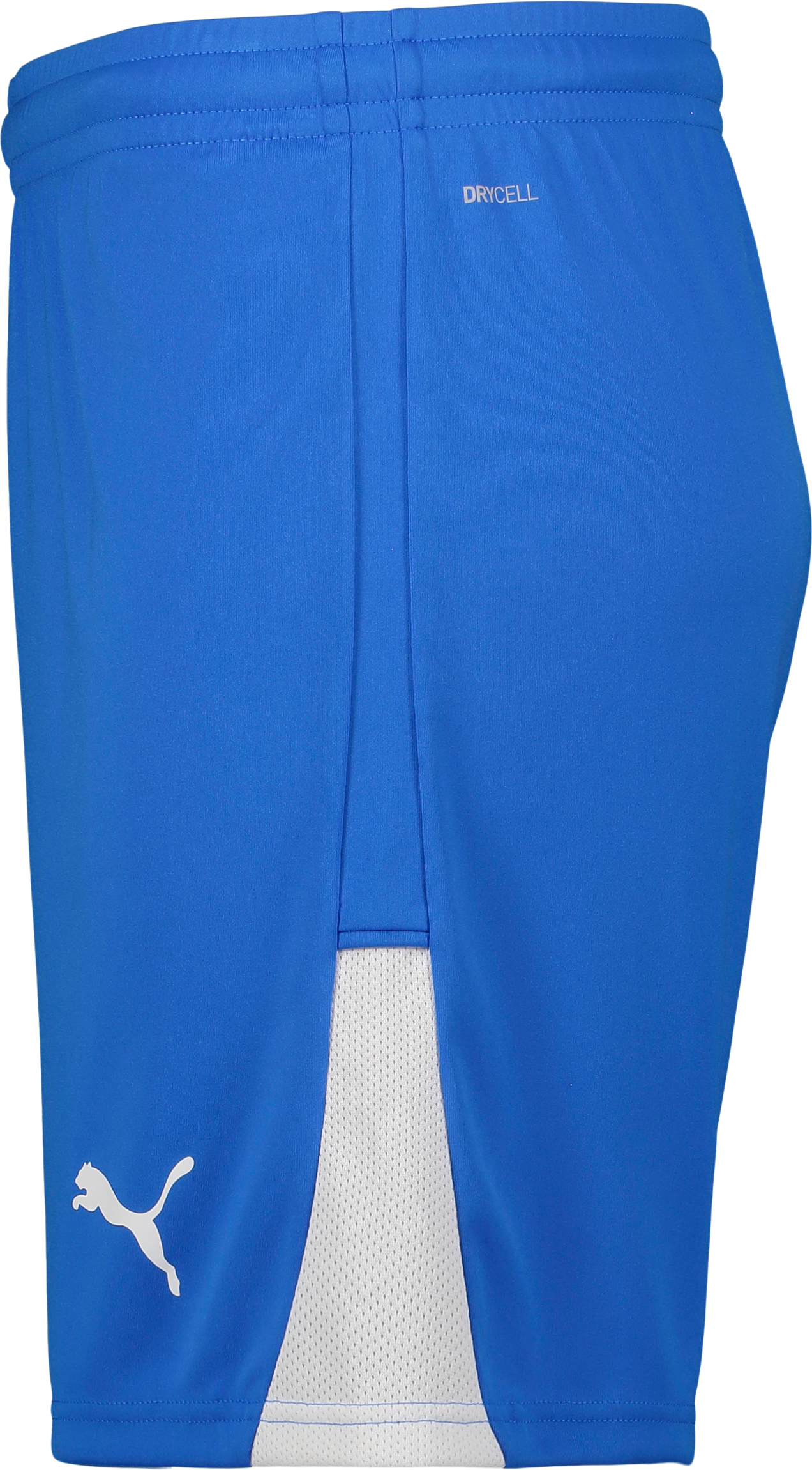 PUMA, TEAMLIGA26 SHORTS