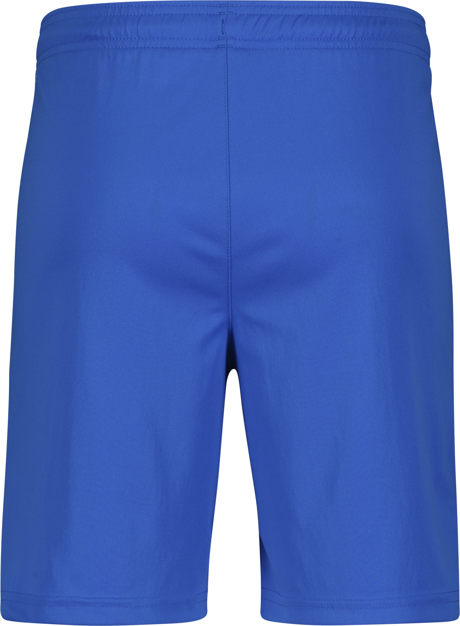 PUMA, T Liga Shorts Jr