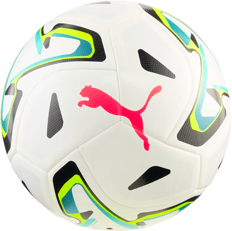 
PUMA, 
STELLAR GOAL, 
Detail 1
