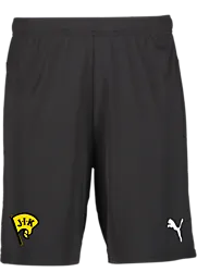 391942103101 PUMA T Goal Shorts 391942103101 PUMA T Goal Shorts Standard Small1x1