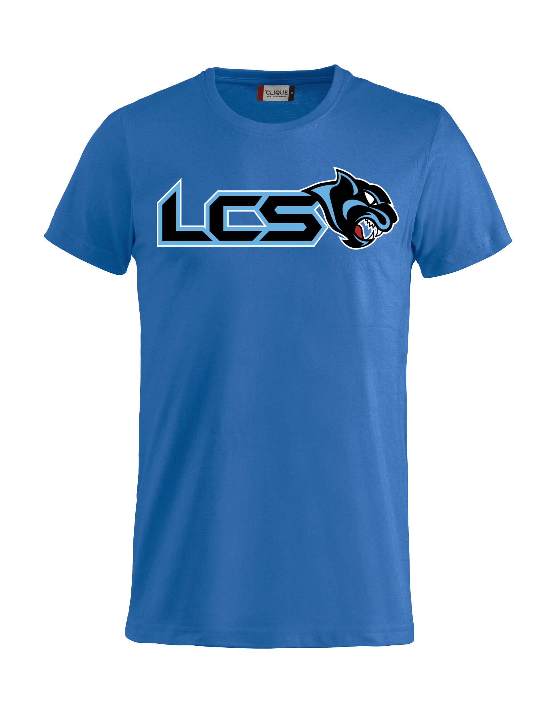 
CLIQUE, 
Basic-T, 
Detail 1
