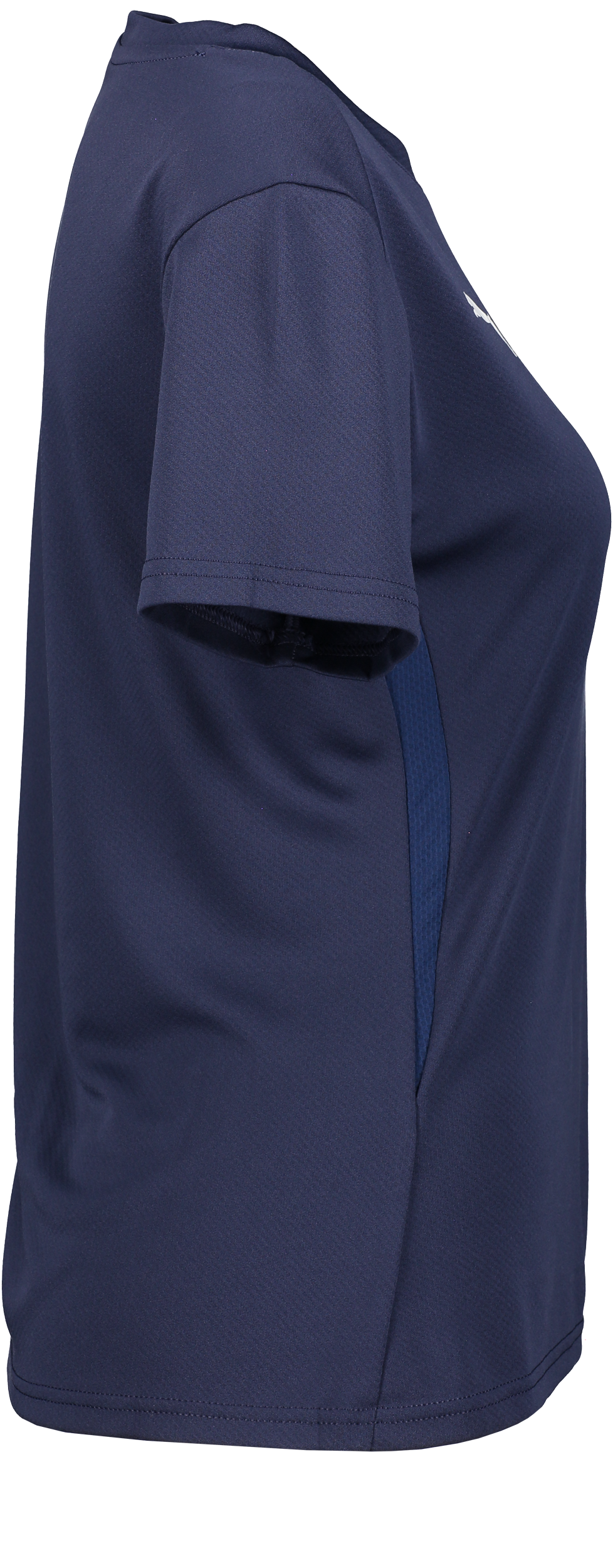 PUMA, T Goal Trg Jsy W