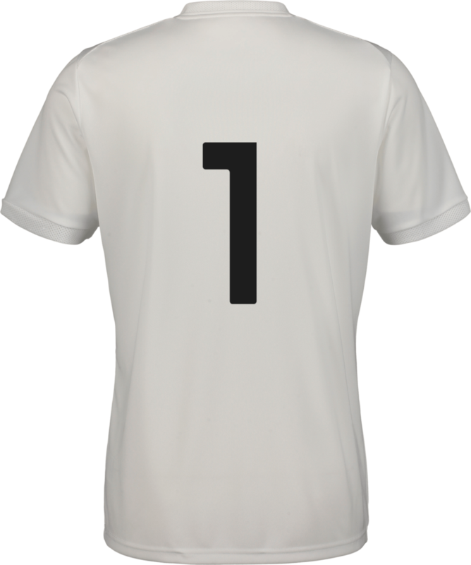 PUMA, TEAMLIGA26 MATCHDAY JERSEY
