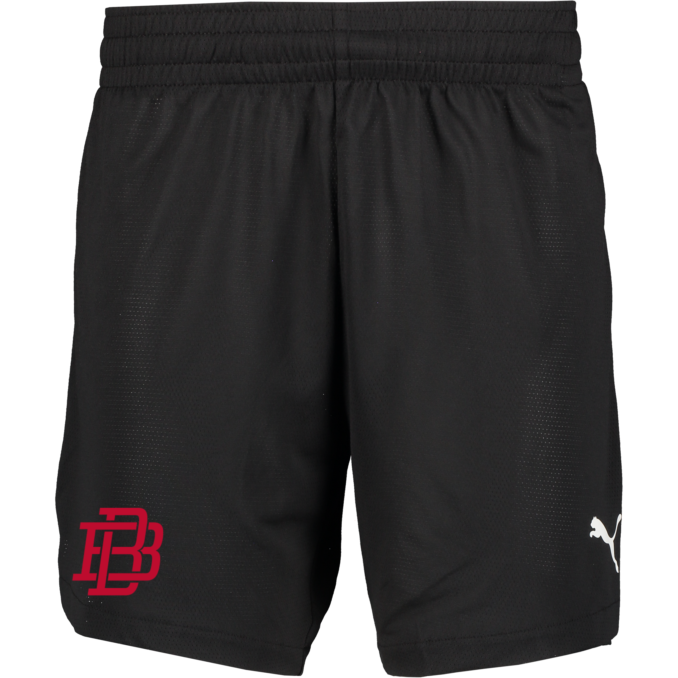 
PUMA, 
TEAMJAWS PRACTICE SHORTS JR, 
Detail 1
