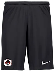 298936101101 NIKE Park III Short 298936101101 NIKE Park III Short Standard Small1x1