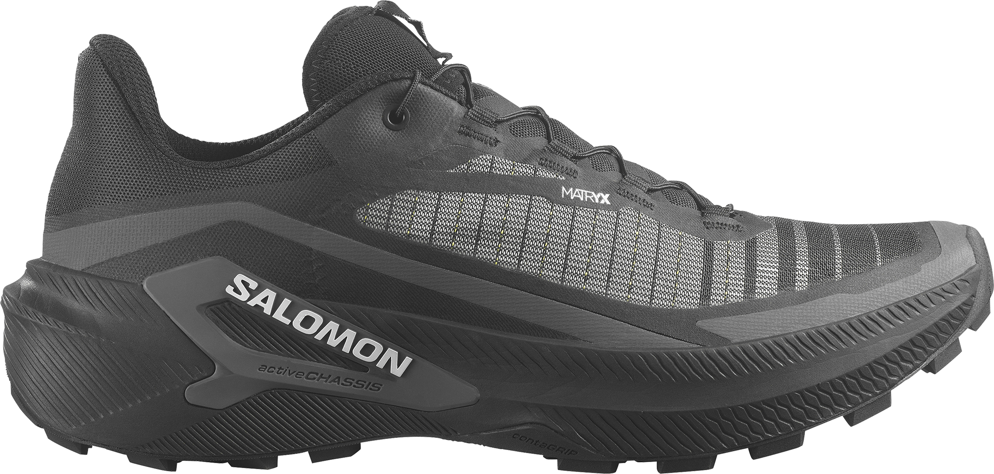 
SALOMON, 
M GENESIS 2, 
Detail 1
