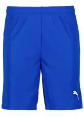 391942102101 PUMA T Goal Shorts 391942102101 PUMA T Goal Shorts Standard Small1x1