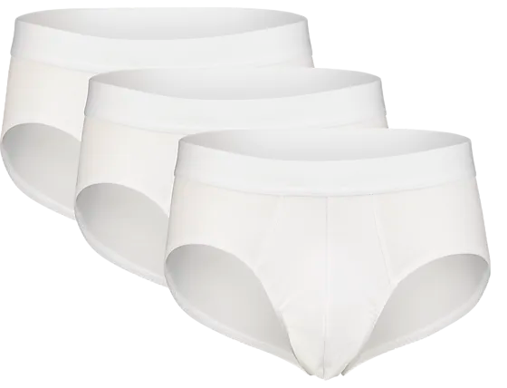 706350101105 BREAD & BOXERS  3 Pack Brief M 706350101105 BREAD & BOXERS 3 Pack Brief M  Standard Detail