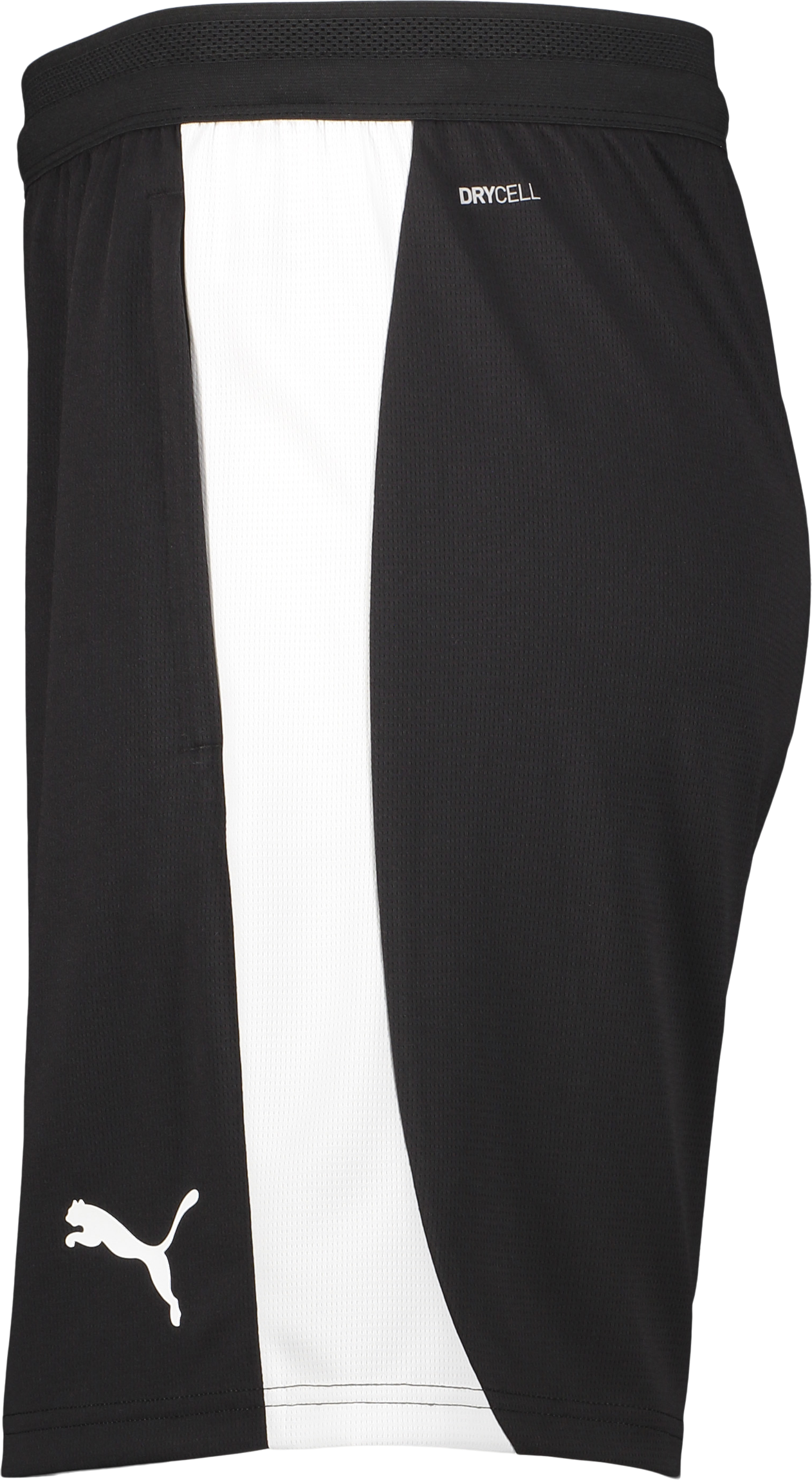 PUMA, TEAMFINAL26 TRAINING SHORTS