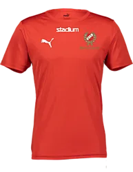 397379101101 PUMA T Rise Matchday Jsy 397379101101 PUMA T Rise Matchday Jsy Standard Small1x1