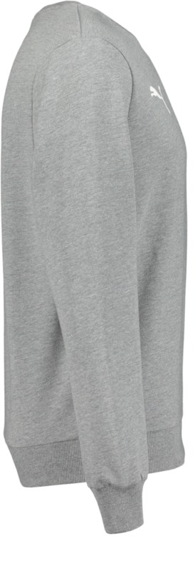 PUMA, T Goal Cas Crew Sweat
