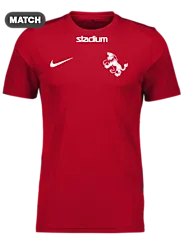 299007110101 NIKE Park VII SS Jsy 299007110101 NIKE Park VII SS Jsy Standard Small1x1