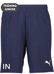 392286106101 PUMA T Goal Shorts Jr 392286106101 PUMA T Goal Shorts Jr Standard Small1x1