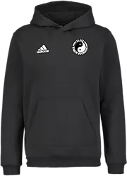 358916102101 ADIDAS Ent22 Hoody Jr 358916102101 ADIDAS Ent22 Hoody Jr Standard Small1x1