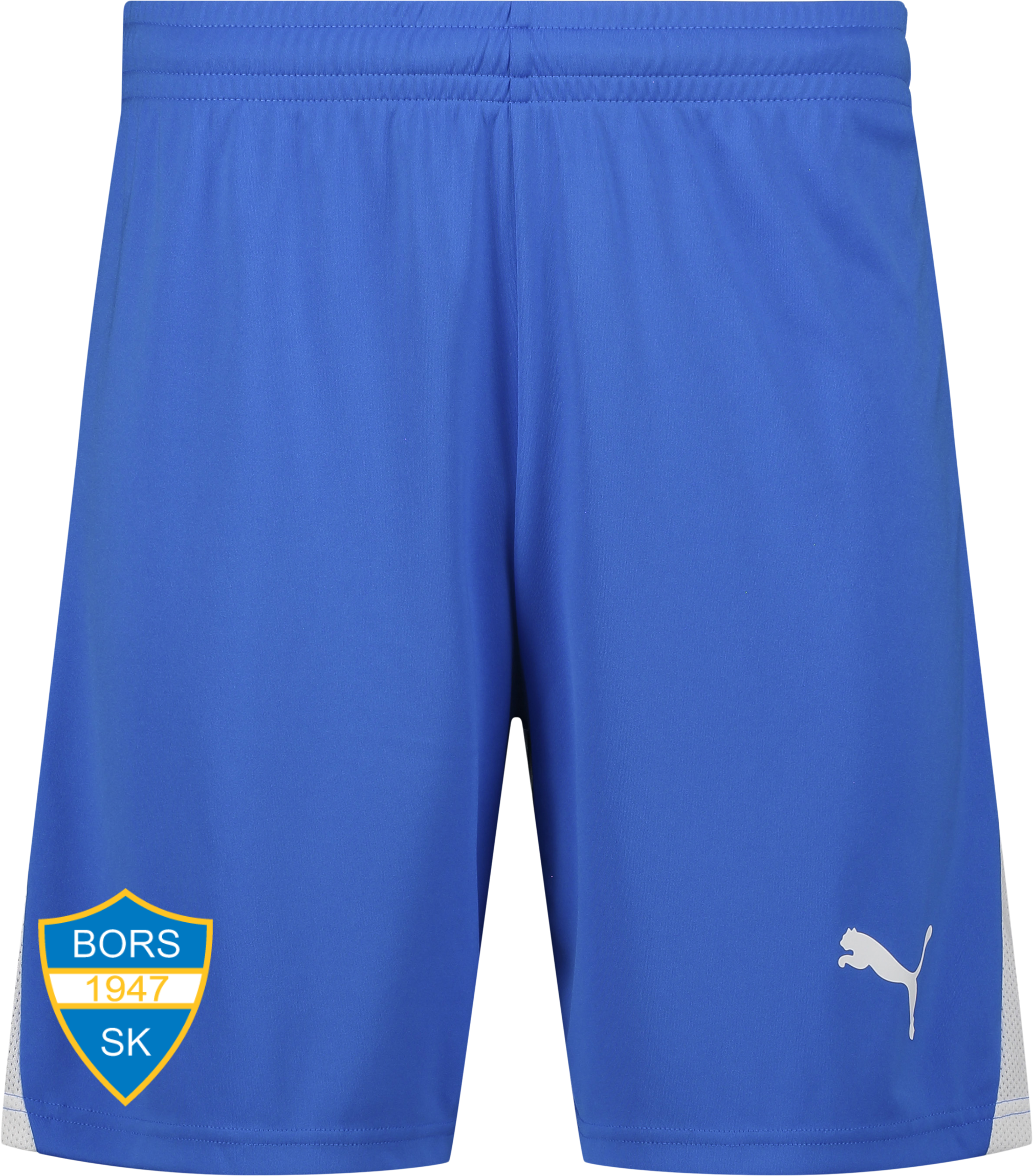 
PUMA, 
TEAMLIGA26 SHORTS JR, 
Detail 1
