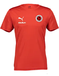397379101101 PUMA T Rise Matchday Jsy 397379101101 PUMA T Rise Matchday Jsy Standard Small1x1