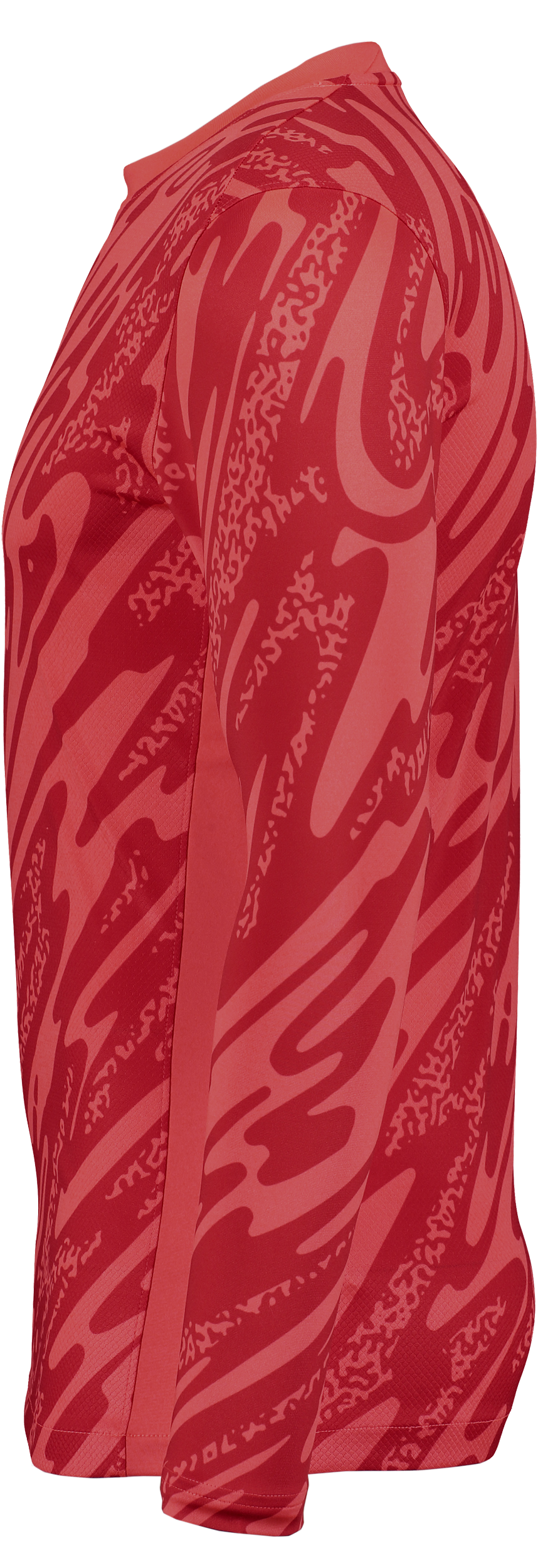 NIKE, Gardien V Gk Ls Jsy