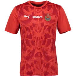 401631115101 PUMA T Ultimate Jsy 401631115101 PUMA T Ultimate Jsy Standard Small1x1