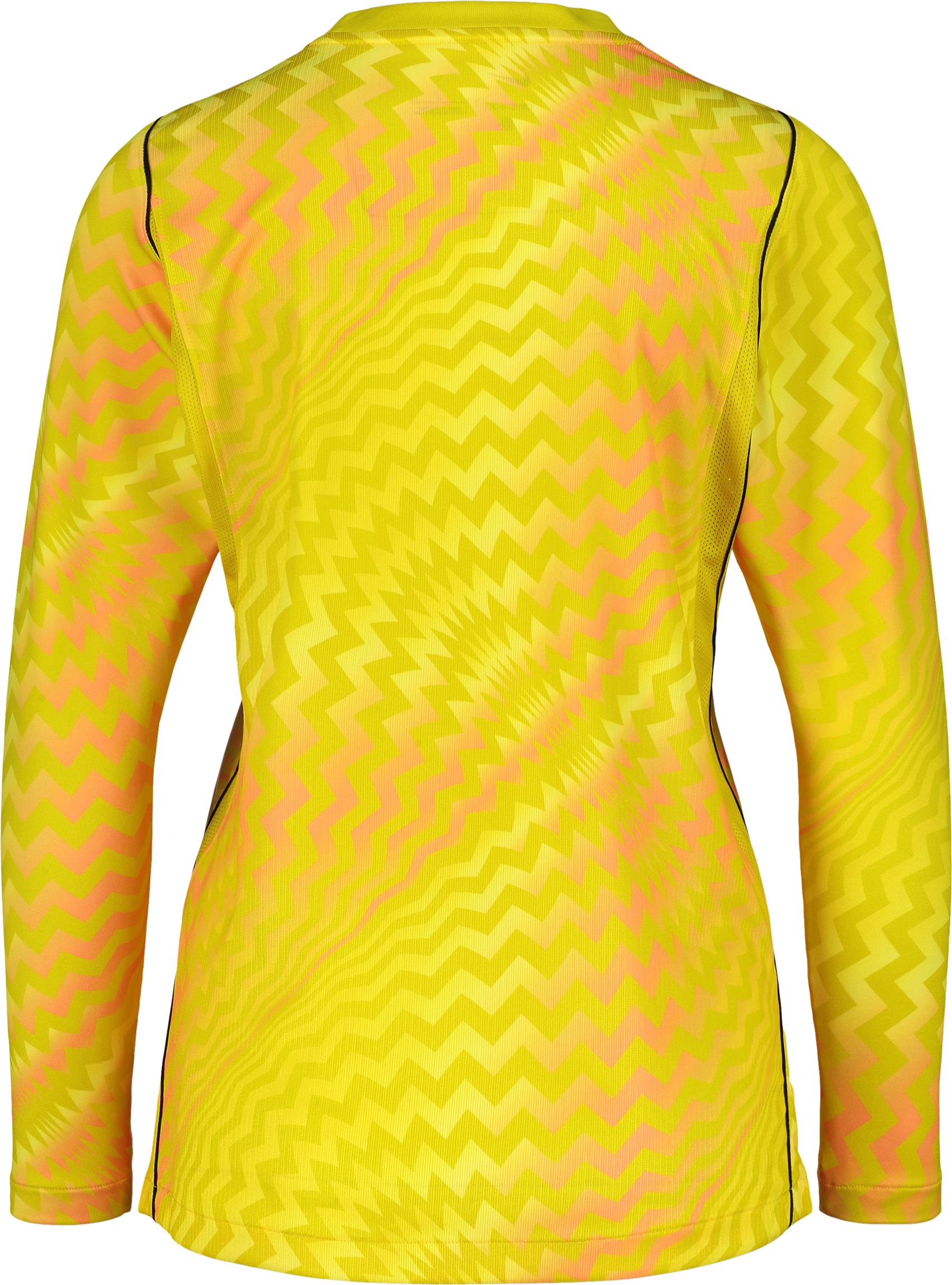 NIKE, GARDIEN VI GK LS JSY W