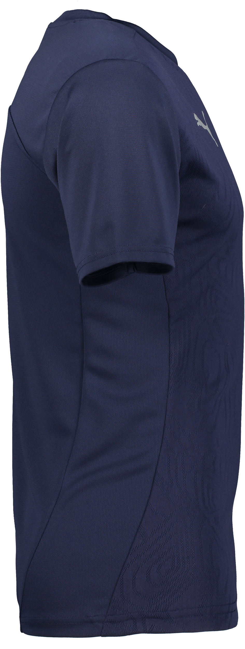 PUMA, T Final Trg Jsy