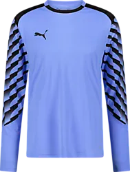 TEAMLIGA26 GK JERSEY LS JR - BLUE GLIMMER/BLACK Standard Small1x1