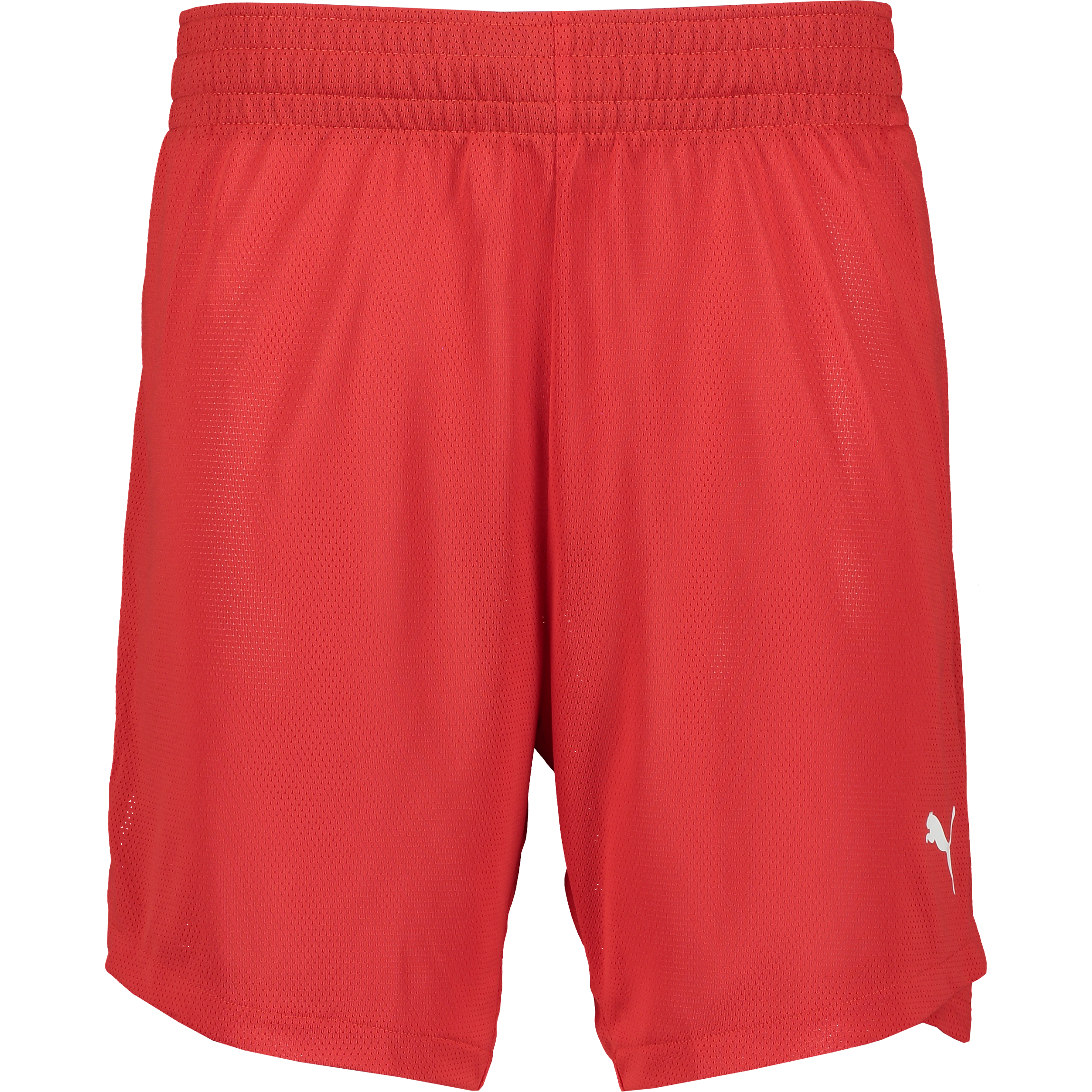 
PUMA, 
TEAMJAWS PRACTICE SHORTS JR, 
Detail 1
