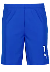 391942102101 PUMA T Goal Shorts 391942102101 PUMA T Goal Shorts Standard Small1x1