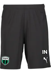 392286103101 PUMA T Goal Shorts Jr 392286103101 PUMA T Goal Shorts Jr Standard Small1x1