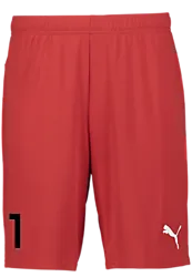 391942101101 PUMA T Goal Shorts 391942101101 PUMA T Goal Shorts Standard Small1x1