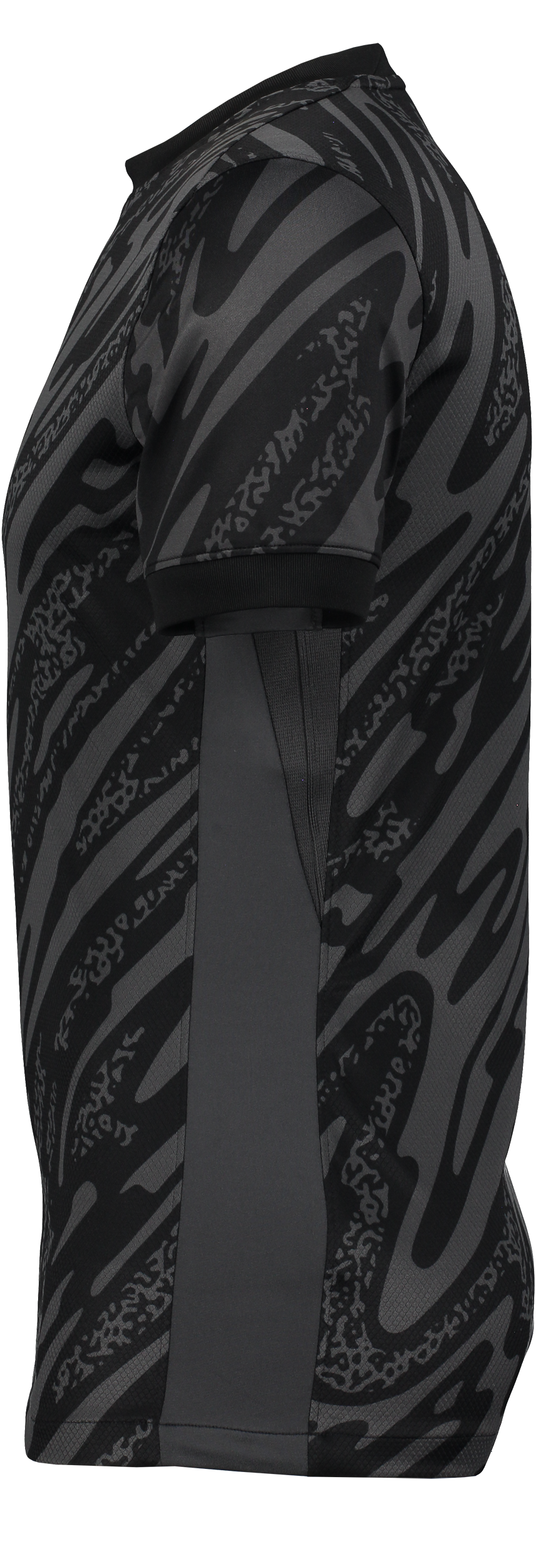 NIKE, Gardien V Gk Ss Jsy