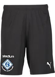 391942103101 PUMA T Goal Shorts 391942103101 PUMA T Goal Shorts Standard Small1x1