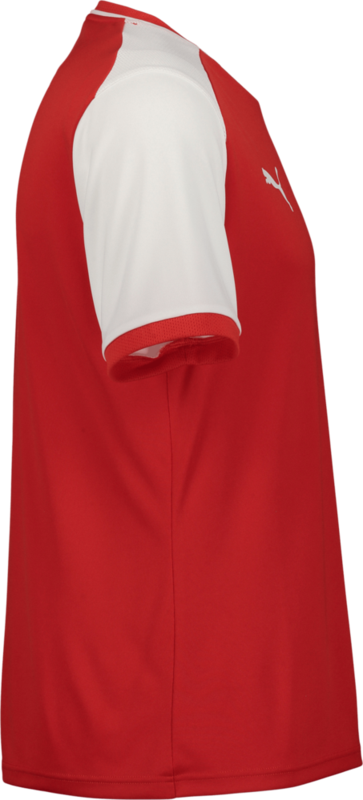 PUMA, TEAMLIGA26 MATCHDAY JERSEY