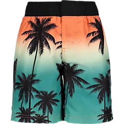 707364101103 HANGTEN  Board Shorts Jr 707364101103 HANGTEN Board Shorts Jr  Standard Small1x1