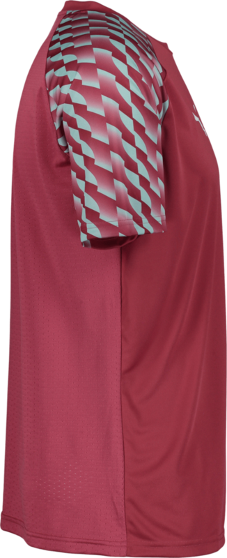 PUMA, TEAMLIGA26 JERSEY