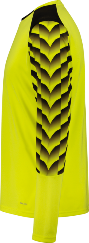 PUMA, TEAMLIGA26 GK JERSEY LS JR