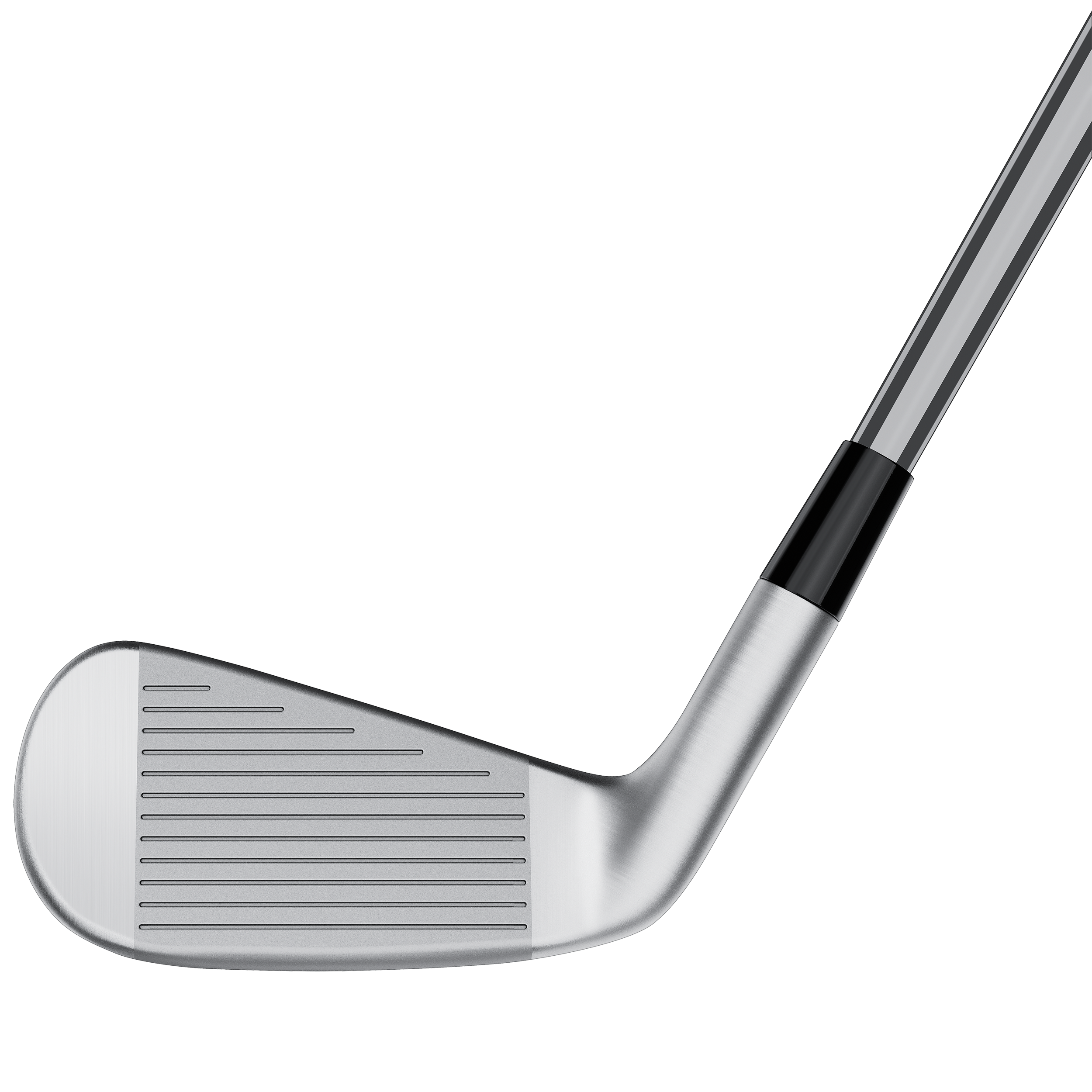 TAYLOR MADE, P Dhy Rh