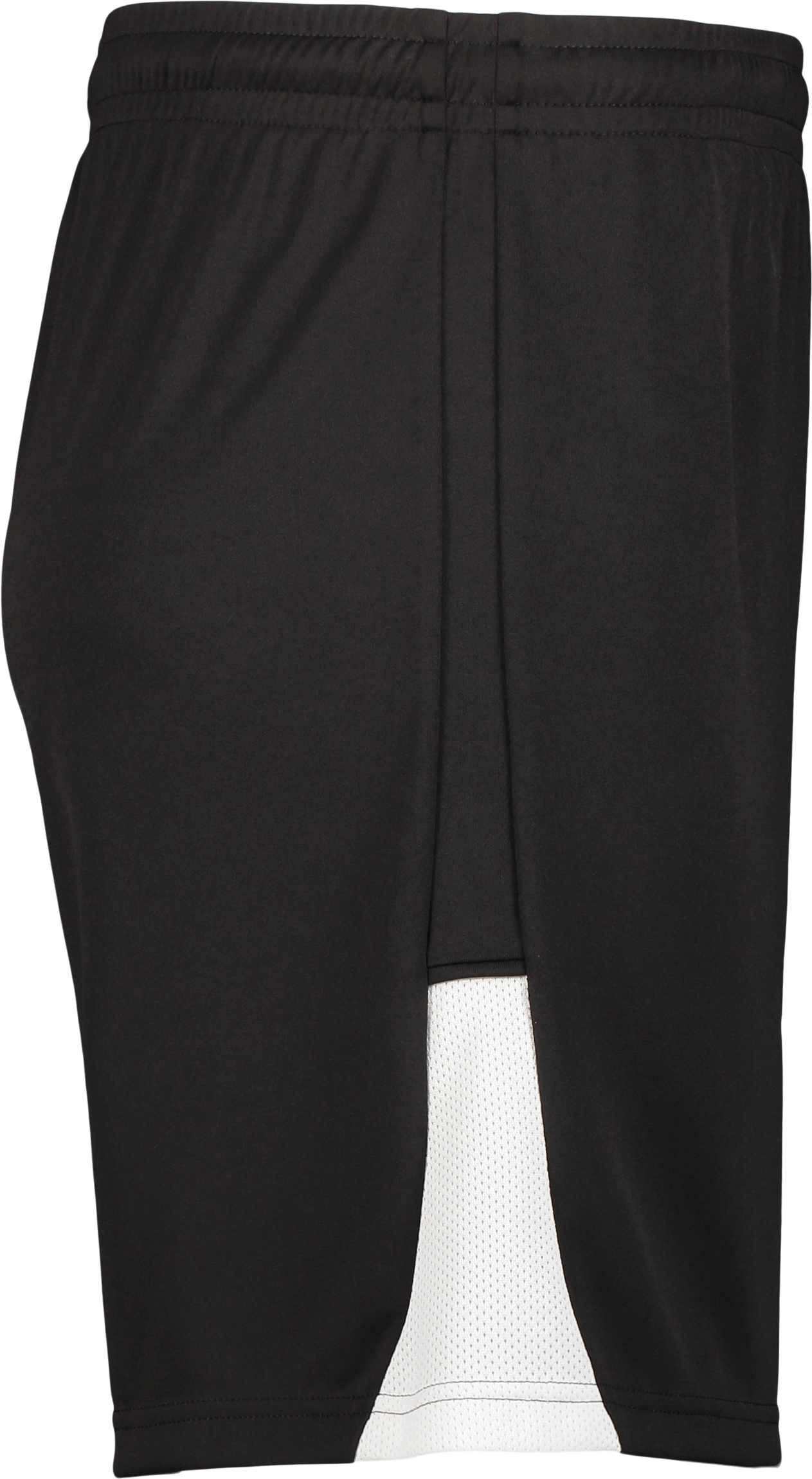 PUMA, TEAMLIGA26 SHORTS