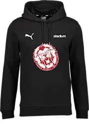 392089103101 PUMA T Goal Casual Hood Sr 392089103101 PUMA T Goal Casual Hood Sr Standard Small1x1