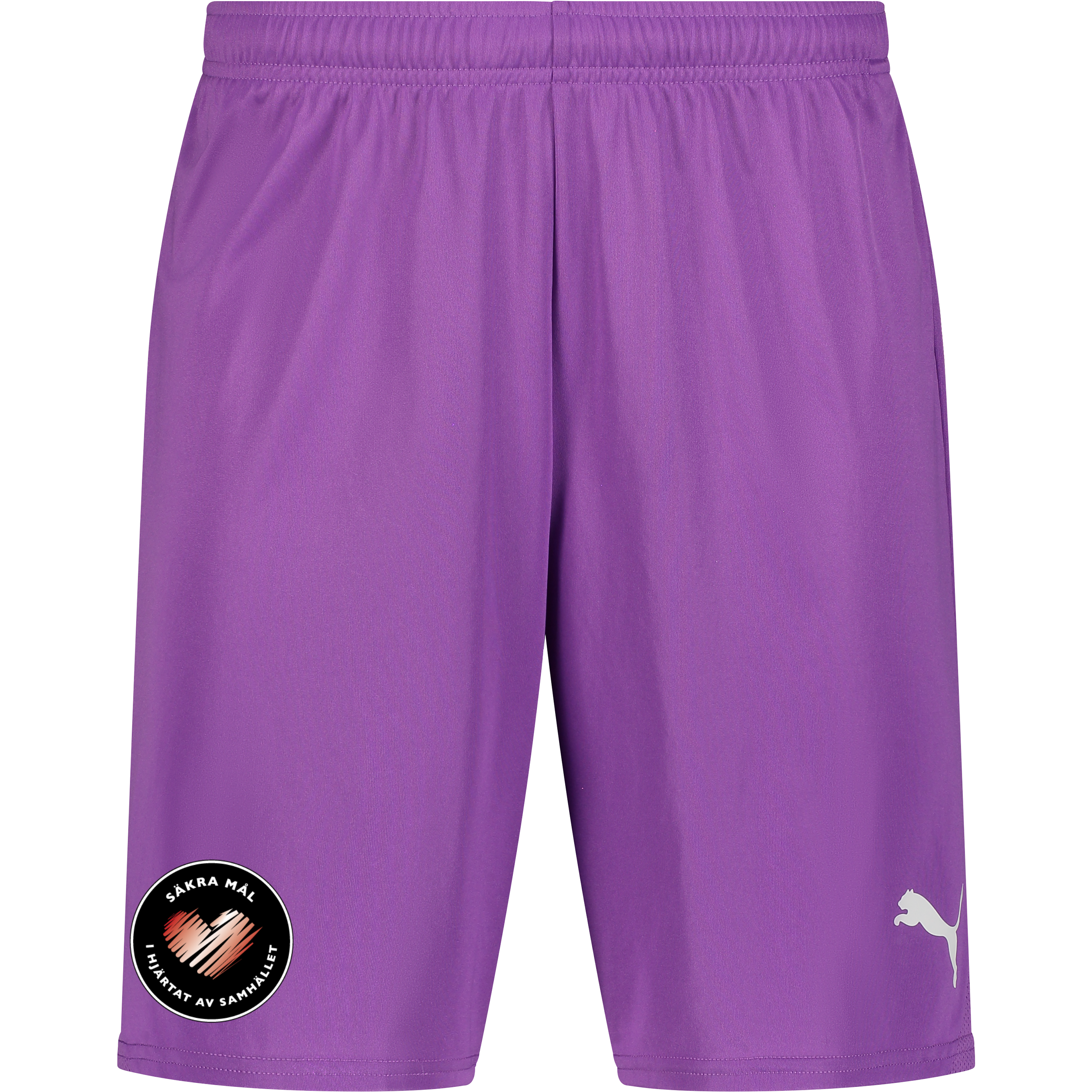 
PUMA, 
T Goal Shorts Jr, 
Detail 1
