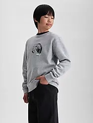 J Signature Crew - Grey/snowcircle Model01 Small1x1
