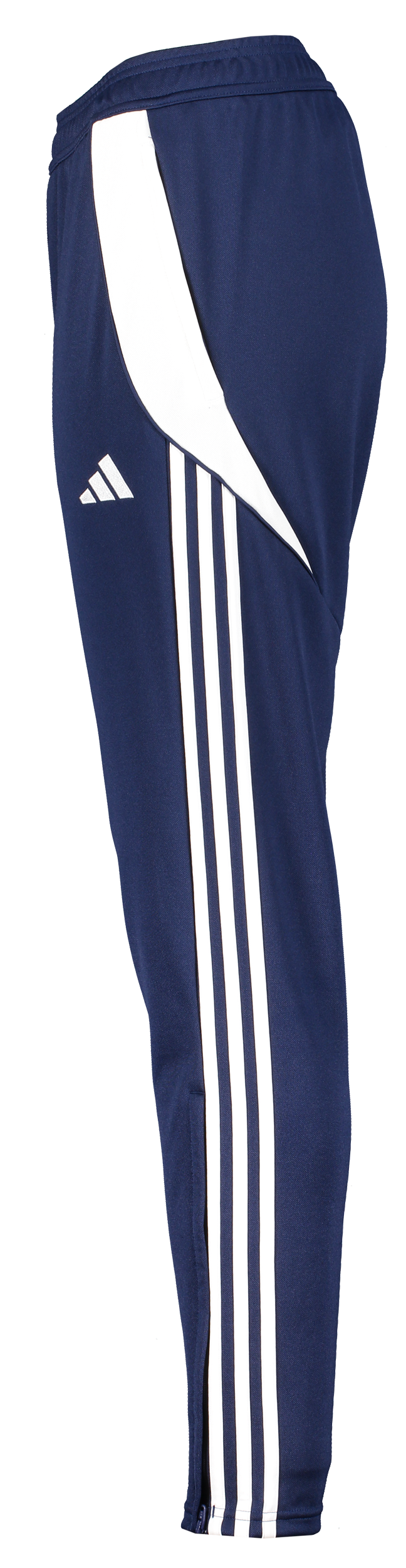 ADIDAS, Tiro24 Tr Pnt W