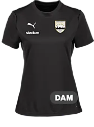 392092103101 PUMA T Goal Trg Jsy W 392092103101 PUMA T Goal Trg Jsy W Standard Small1x1