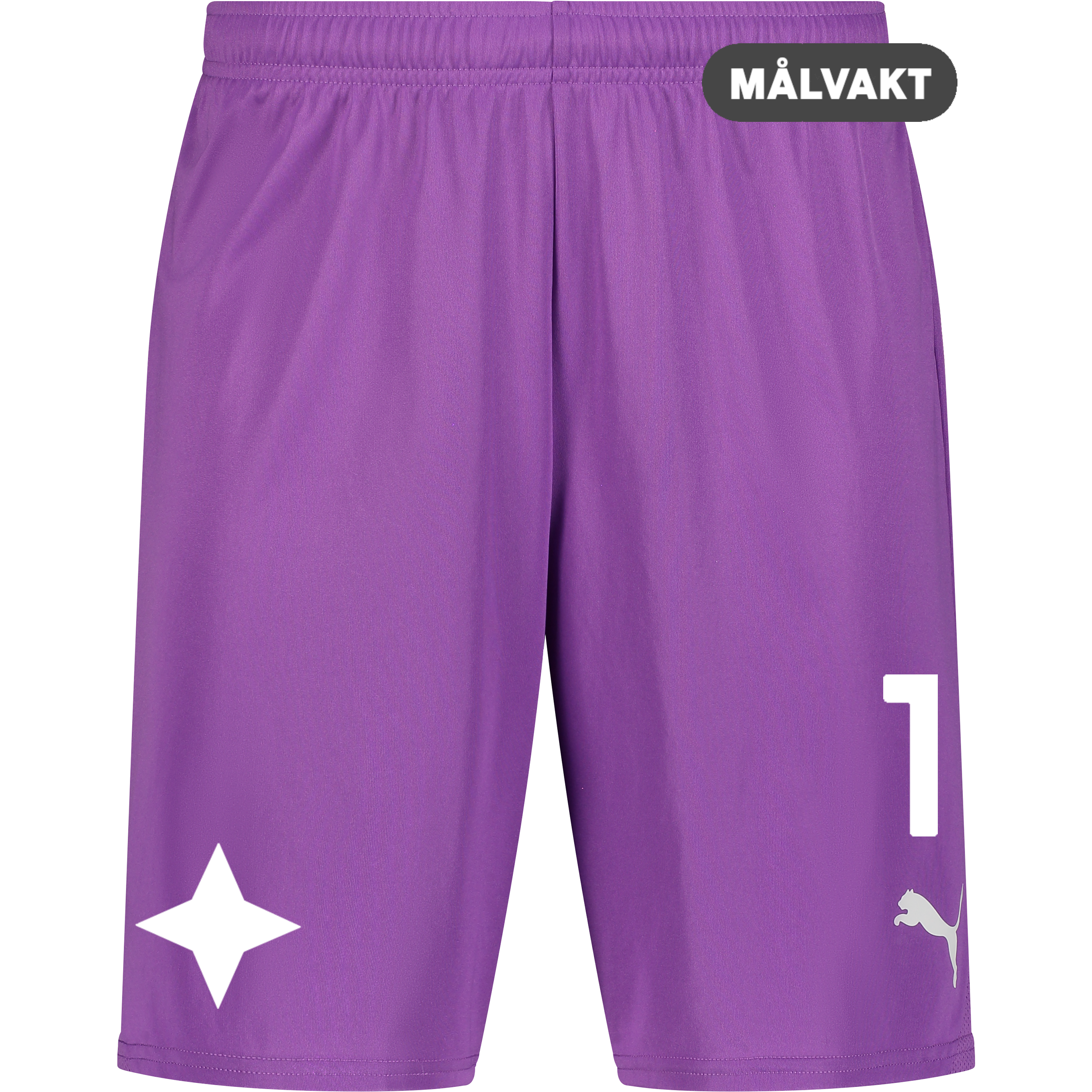 
PUMA, 
T Goal Shorts, 
Detail 1
