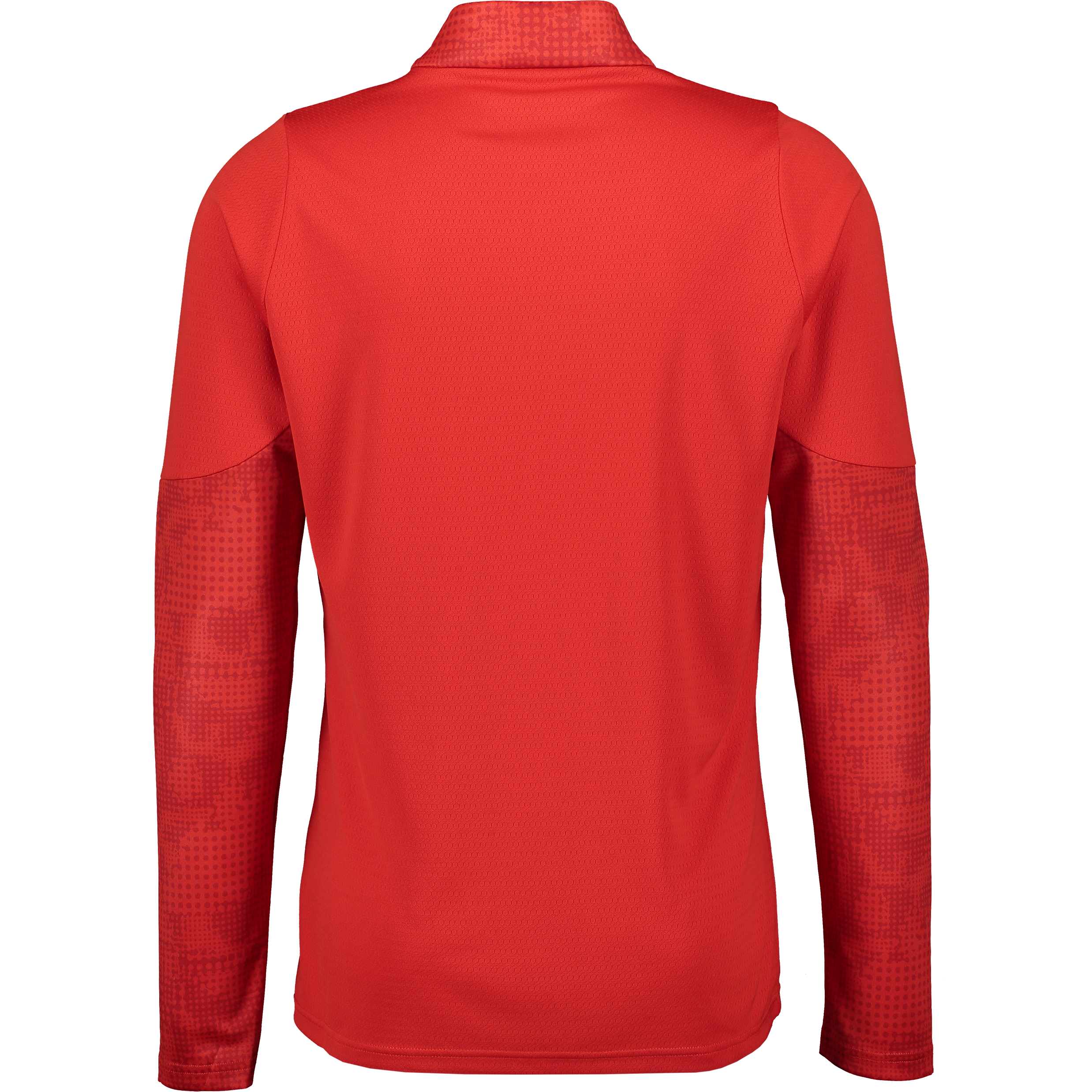 PUMA, Teamcup Training 1/4 Zip