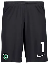 298936101101 NIKE Park III Short 298936101101 NIKE Park III Short Standard Small1x1