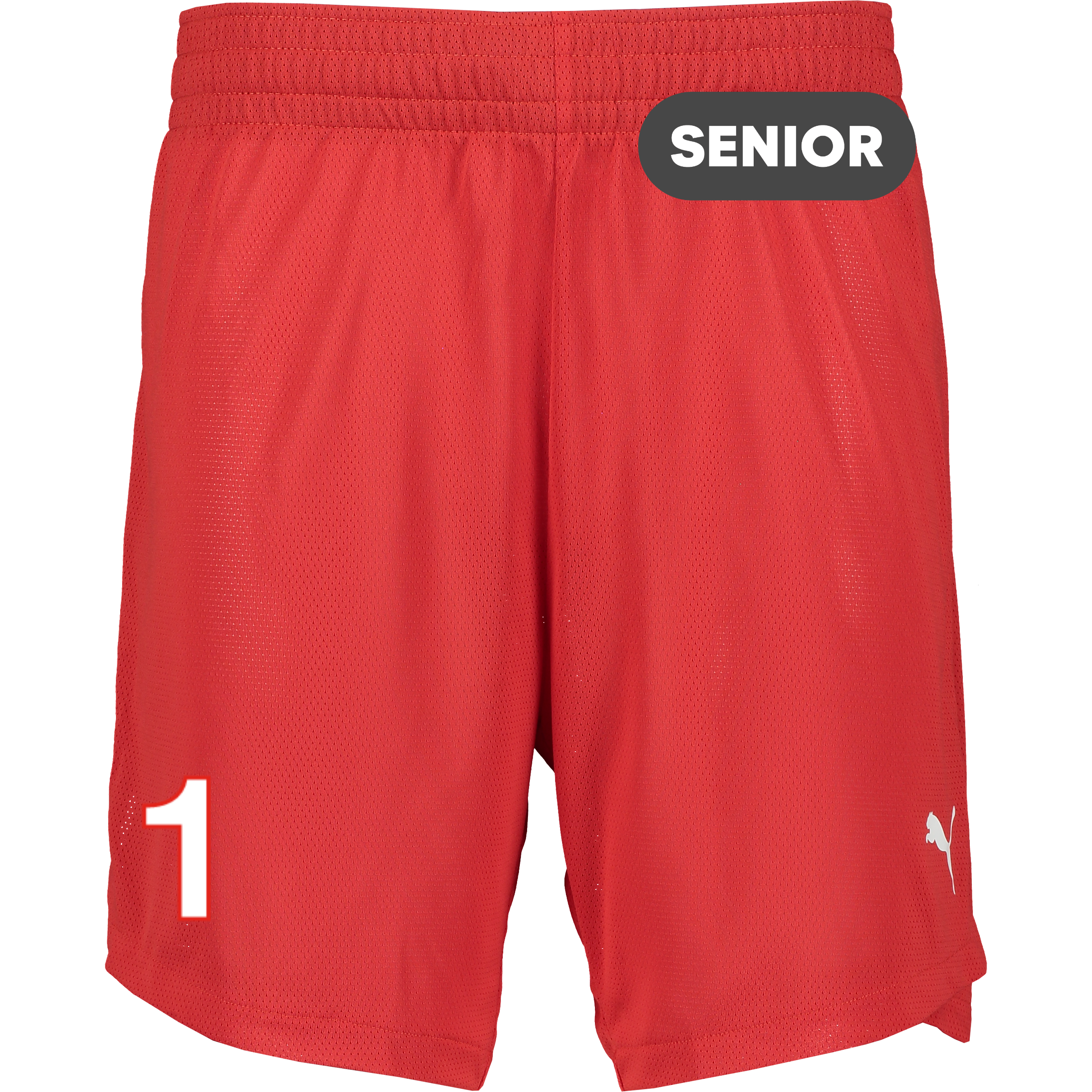 
PUMA, 
TEAMJAWS PRACTICE SHORTS, 
Detail 1
