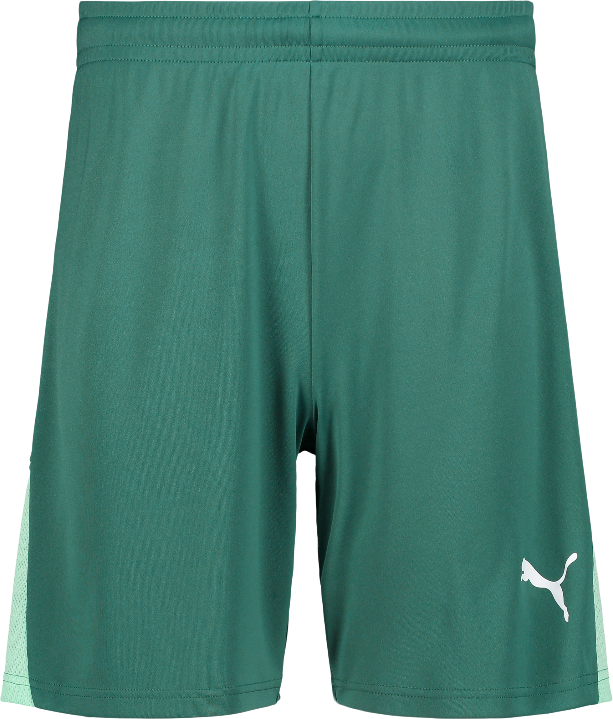 
PUMA, 
TEAMLIGA26 SHORTS, 
Detail 1
