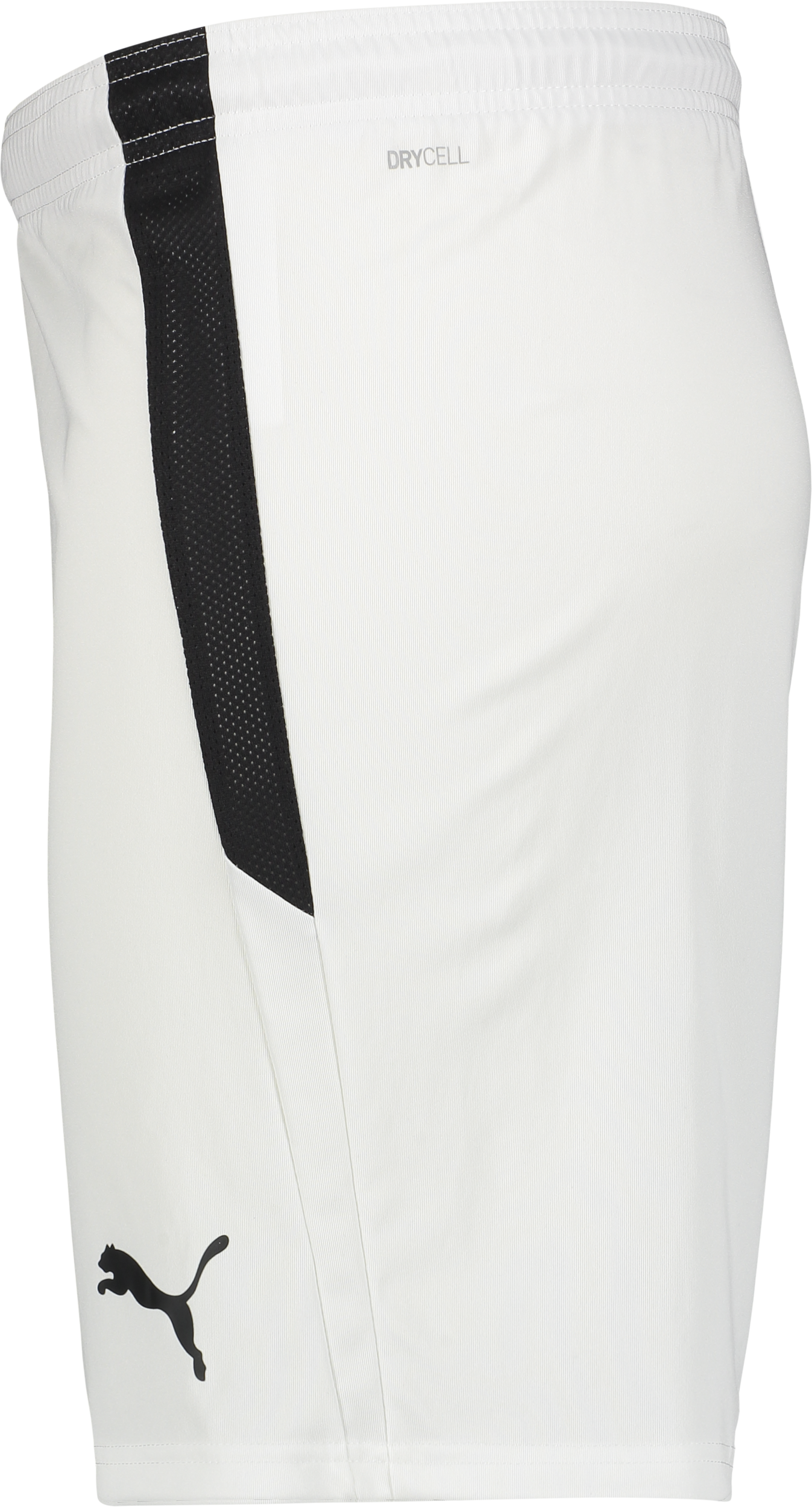 PUMA, T Liga Shorts Jr