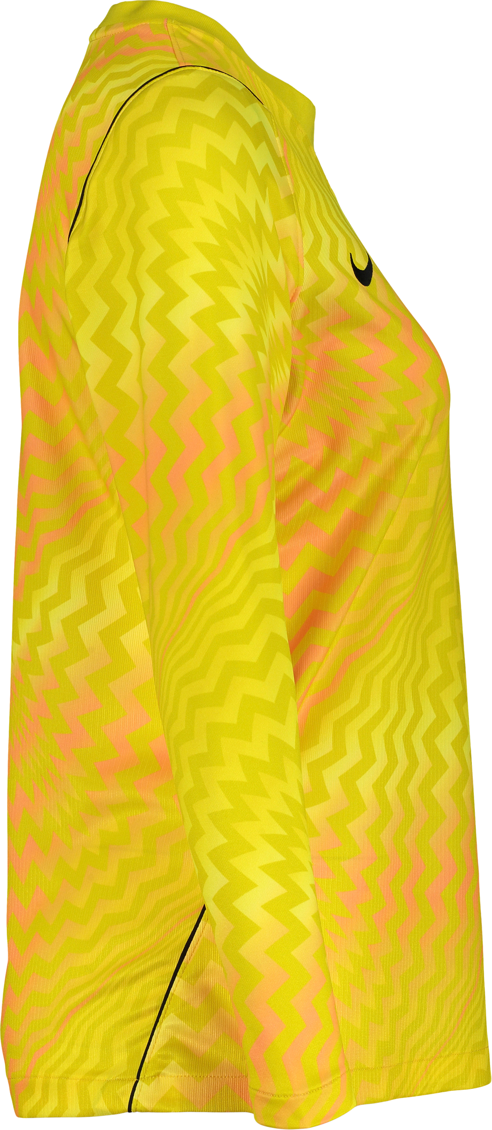 NIKE, GARDIEN VI GK LS JSY W